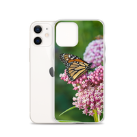 Monarch on Milkweed Phone Case for iPhone