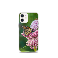 Monarch on Milkweed Phone Case for iPhone