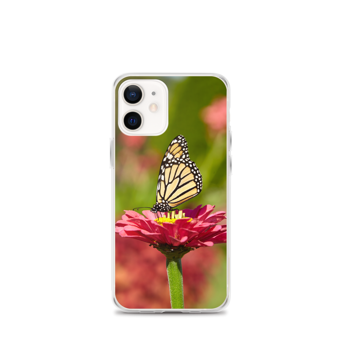 Monarch on Pink Zinnia Case for iPhone