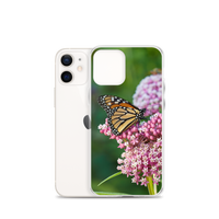 Monarch on Milkweed Phone Case for iPhone