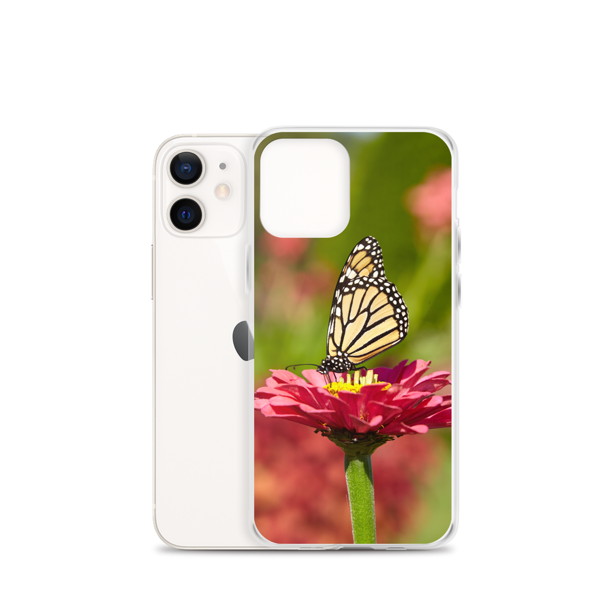 Monarch on Pink Zinnia Case for iPhone