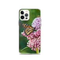 Monarch on Milkweed Phone Case for iPhone