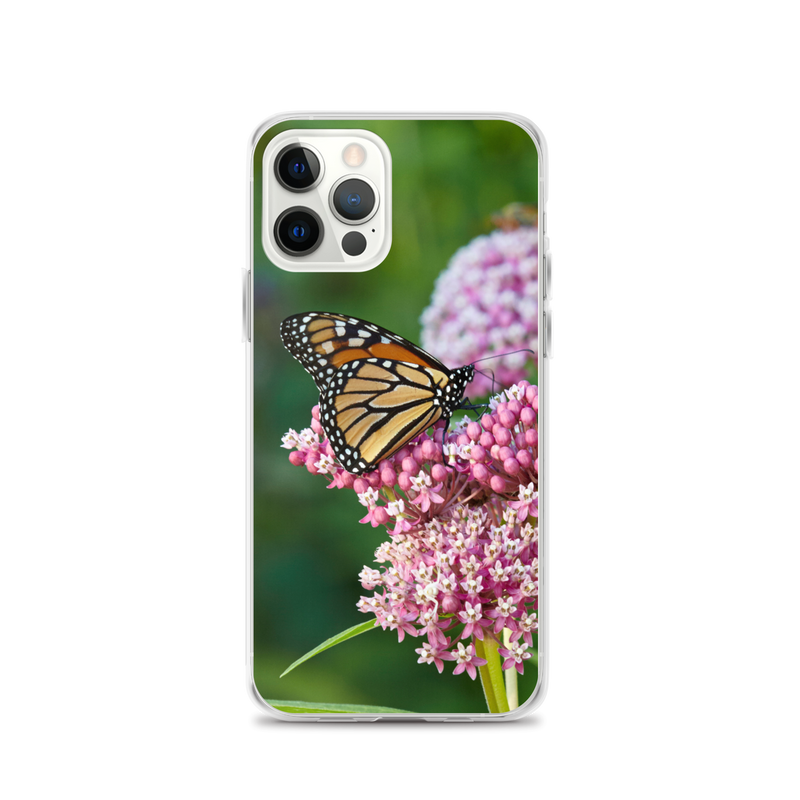 Monarch on Milkweed Phone Case for iPhone