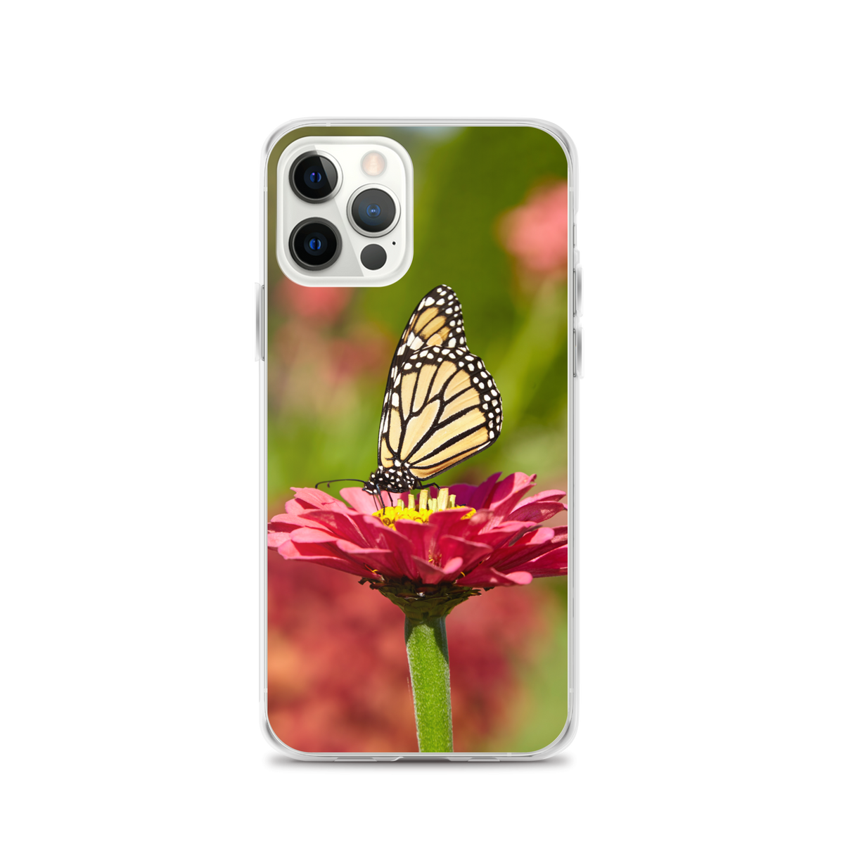 Monarch on Pink Zinnia Case for iPhone