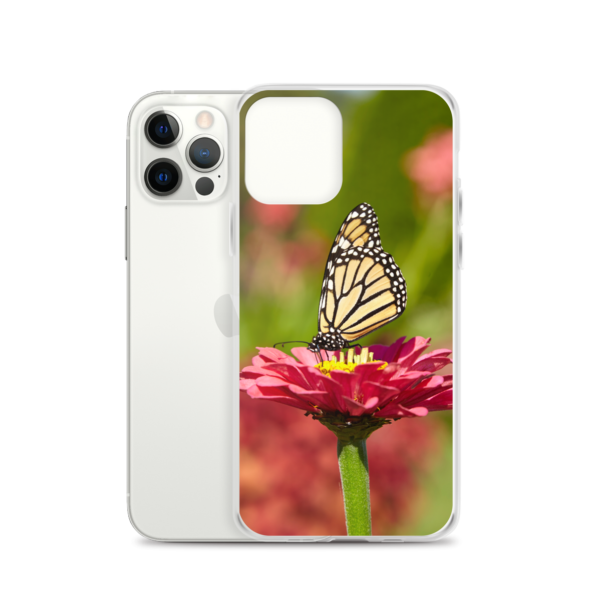 Monarch on Pink Zinnia Case for iPhone