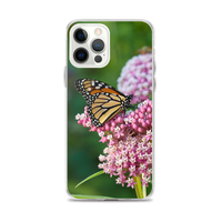 Monarch on Milkweed Phone Case for iPhone