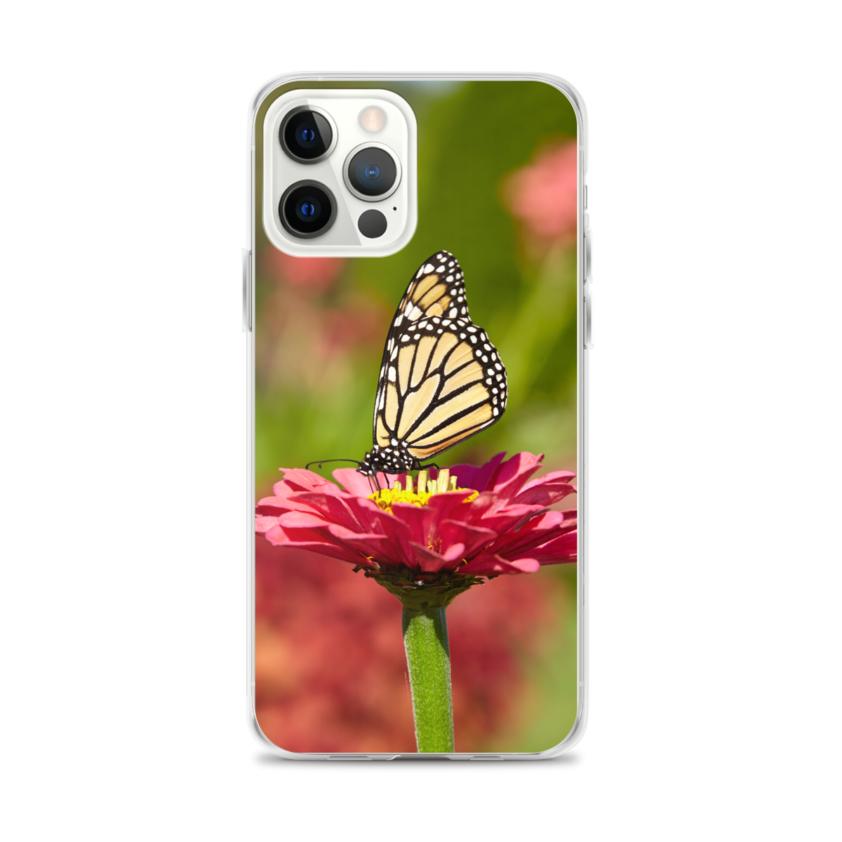 Monarch on Pink Zinnia Case for iPhone