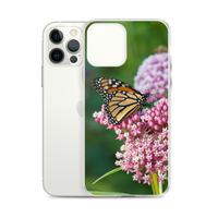 Monarch on Milkweed Phone Case for iPhone
