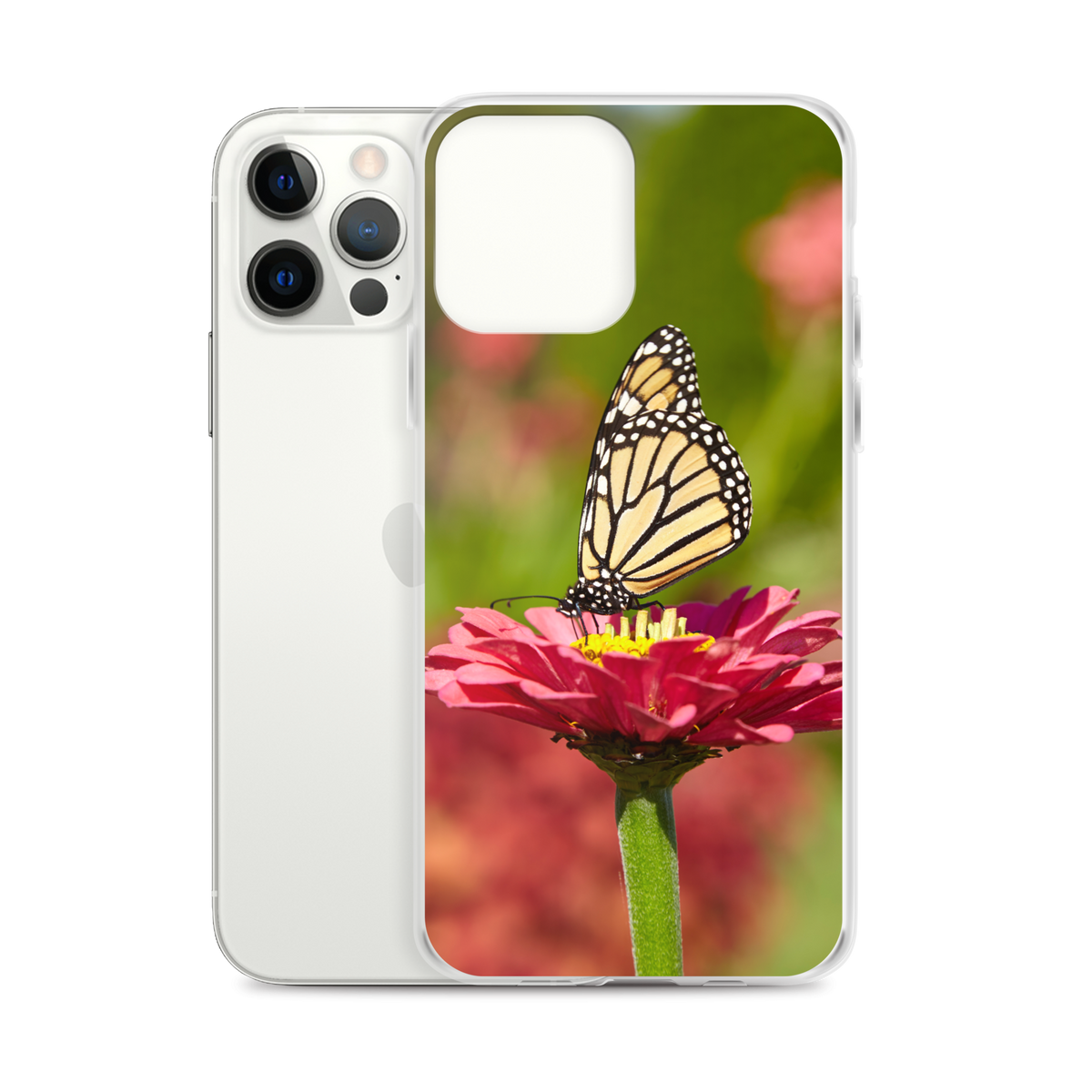 Monarch on Pink Zinnia Case for iPhone