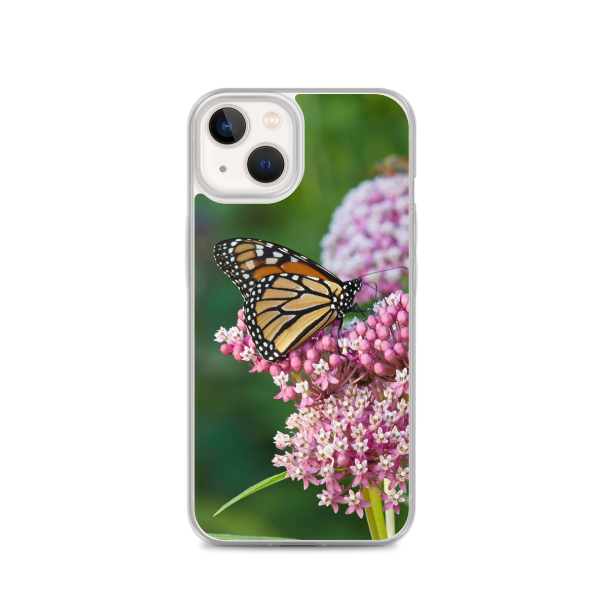 Monarch on Milkweed Phone Case for iPhone