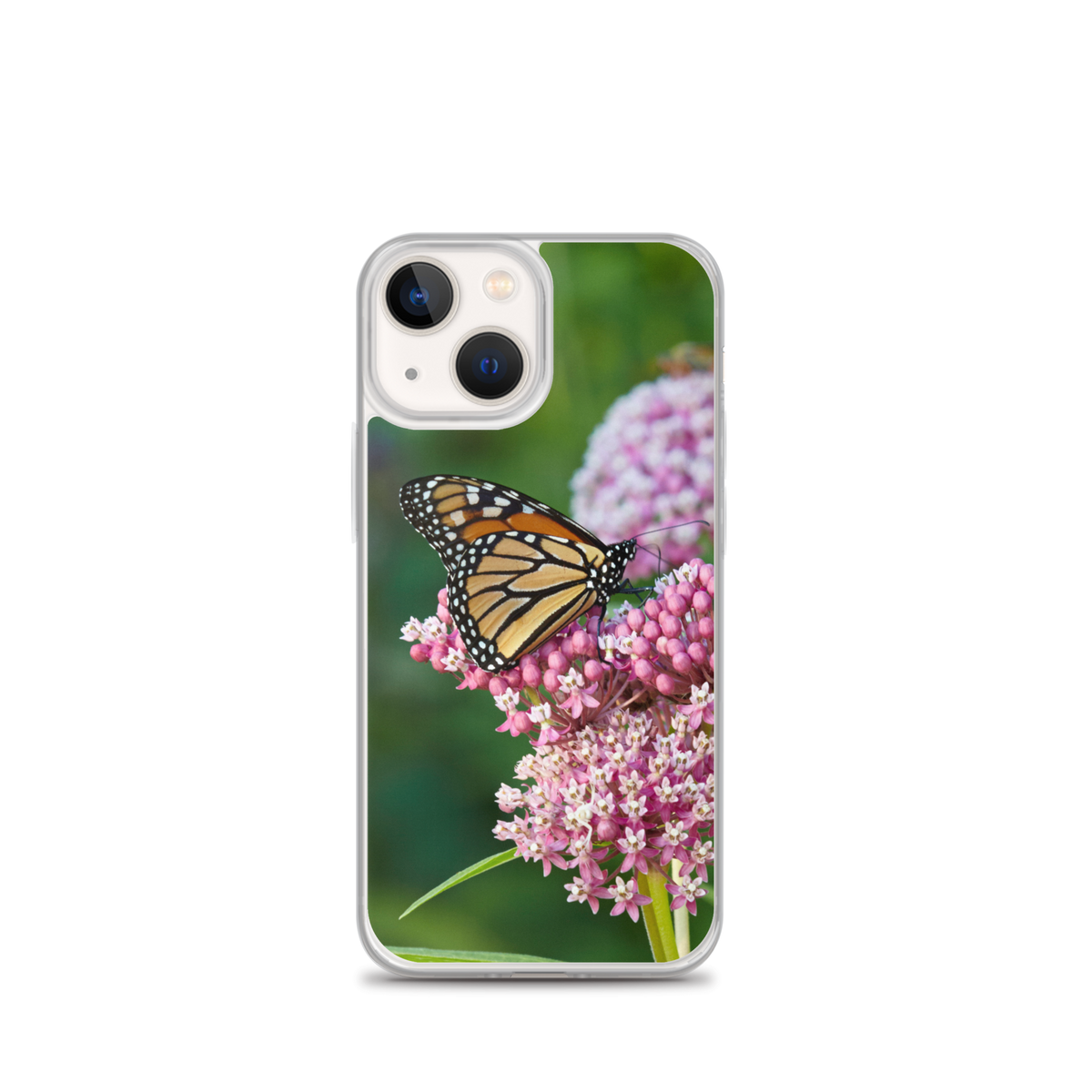 Monarch on Milkweed Phone Case for iPhone