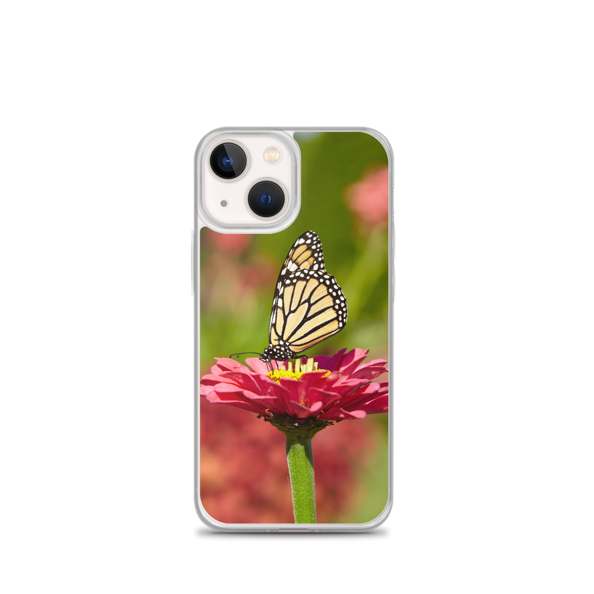 Monarch on Pink Zinnia Case for iPhone