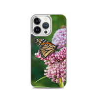 Monarch on Milkweed Phone Case for iPhone