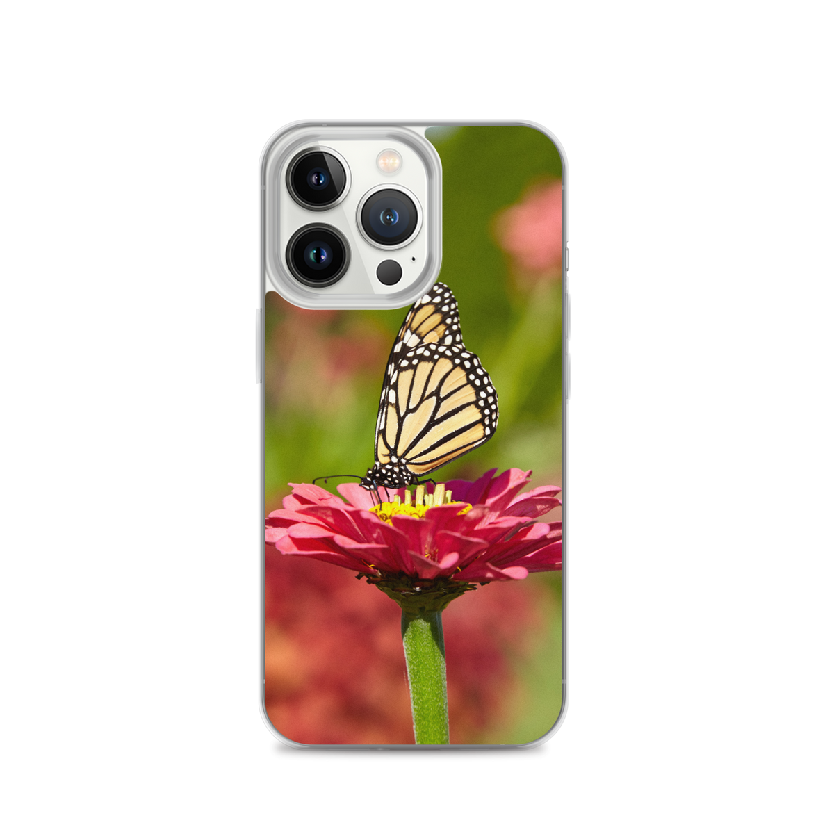 Monarch on Pink Zinnia Case for iPhone