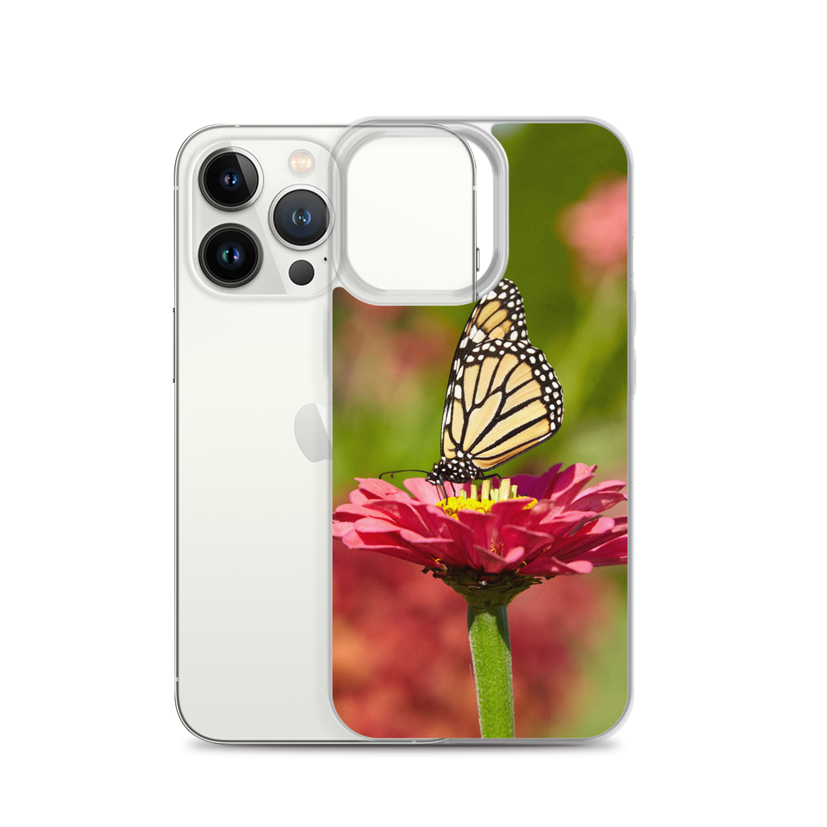 Monarch on Pink Zinnia Case for iPhone