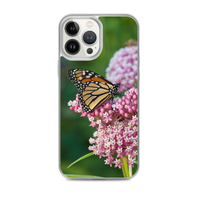 Monarch on Milkweed Phone Case for iPhone