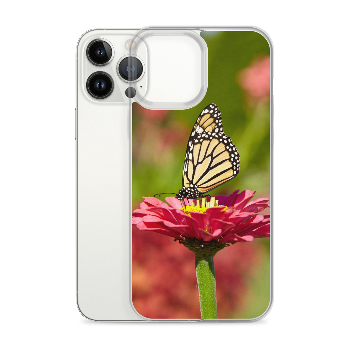 Monarch on Pink Zinnia Case for iPhone