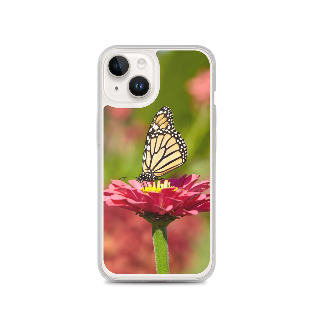 Monarch on Pink Zinnia Case for iPhone
