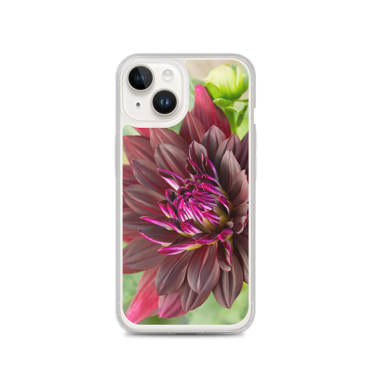Black Dahlia iPhone Case