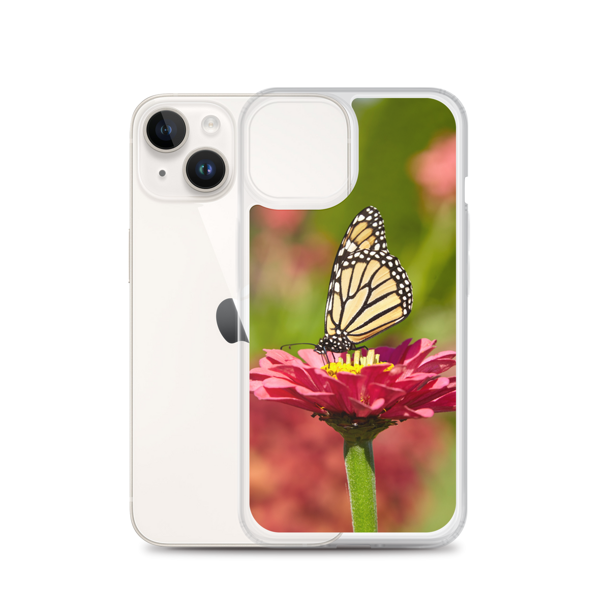 Monarch on Pink Zinnia Case for iPhone