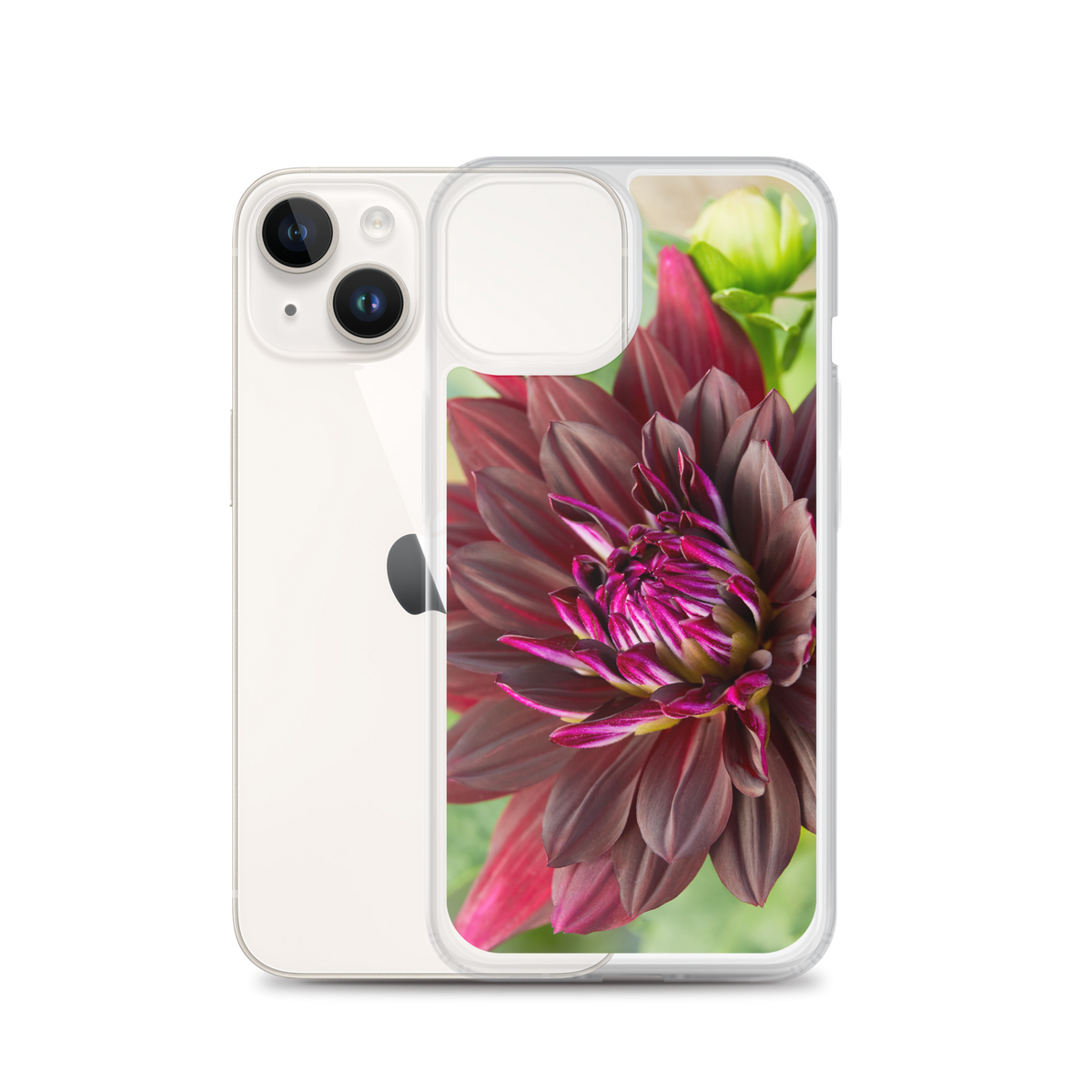 Black Dahlia iPhone Case