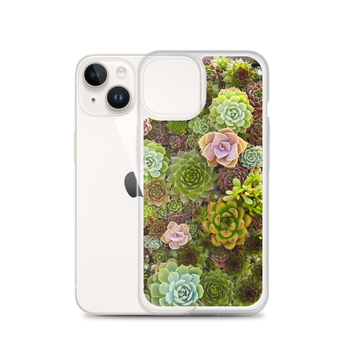 Succulent iPhone Case