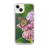 Monarch on Milkweed Phone Case for iPhone