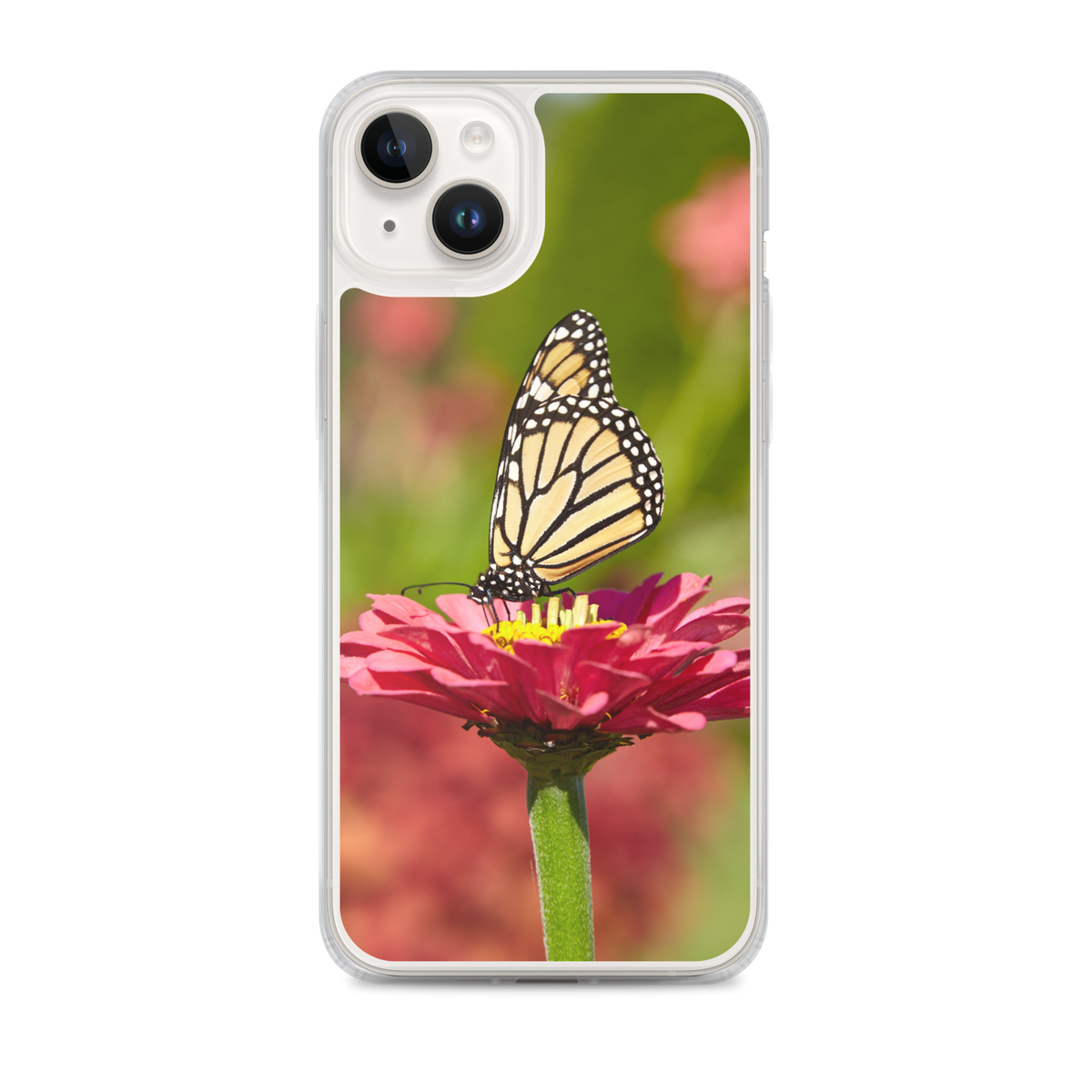 Monarch on Pink Zinnia Case for iPhone