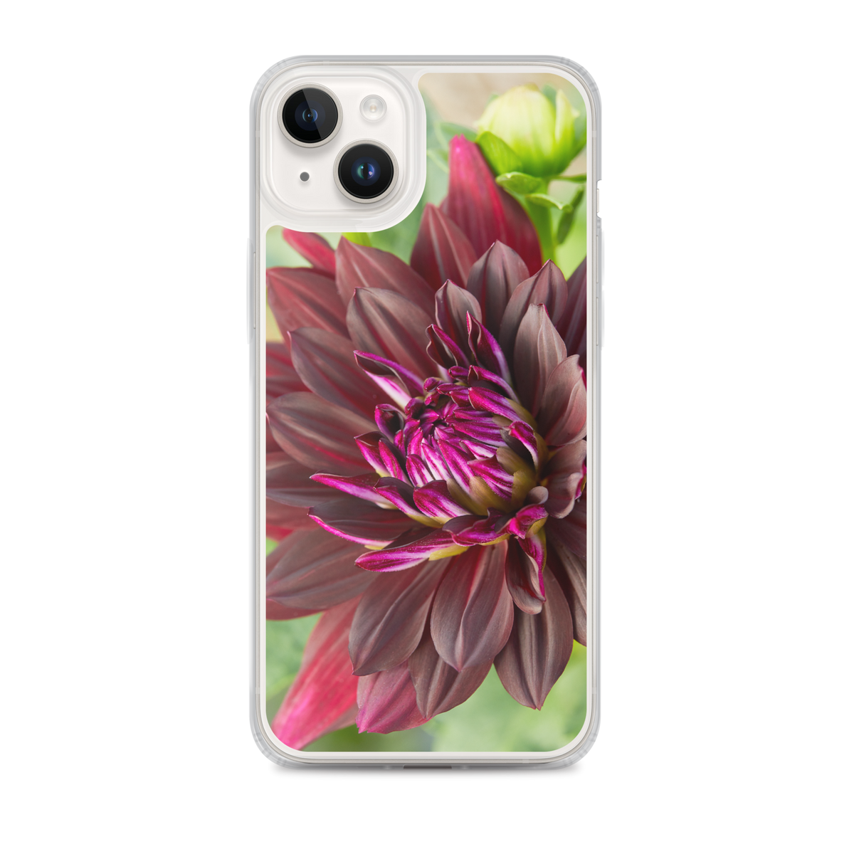 Black Dahlia iPhone Case