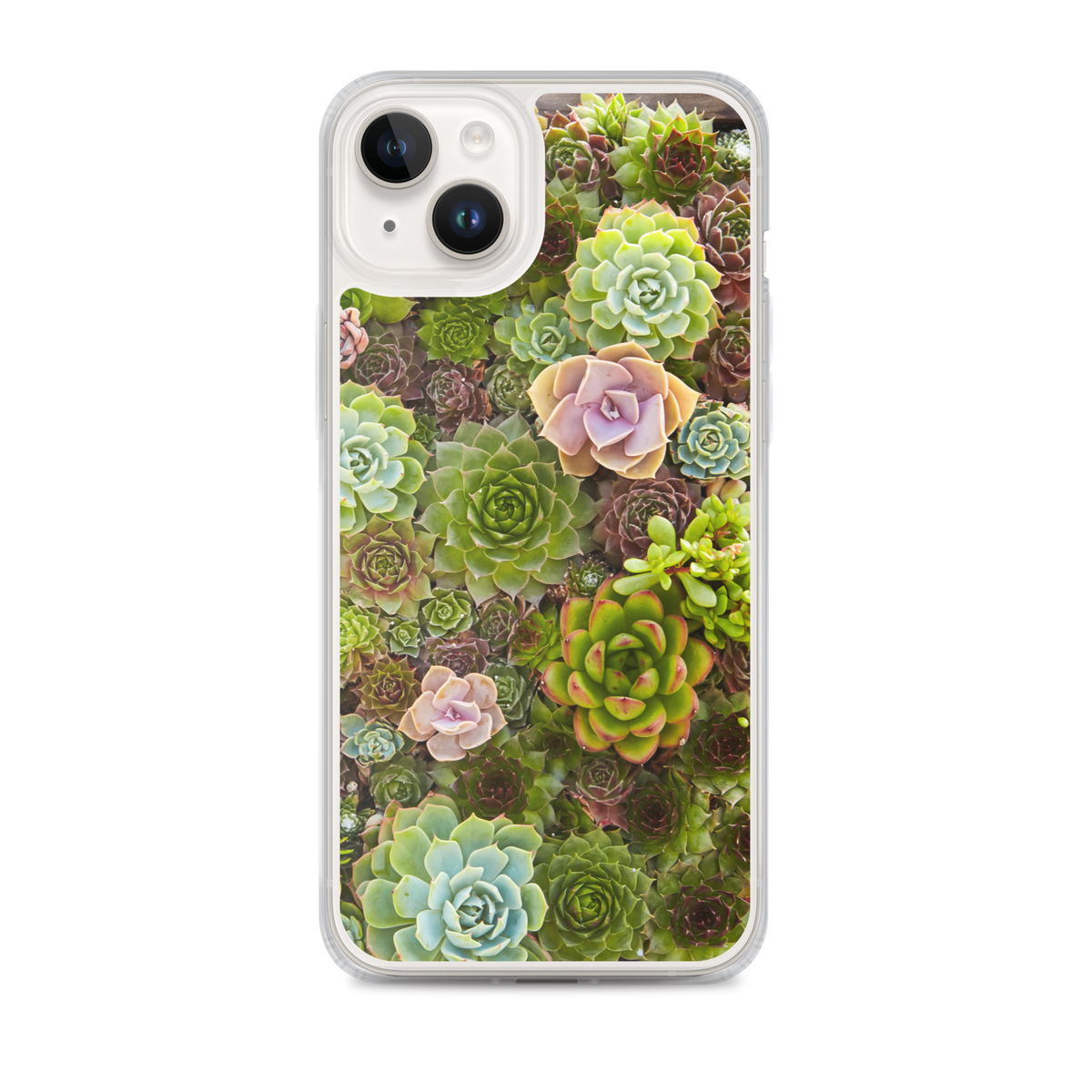 Succulent iPhone Case