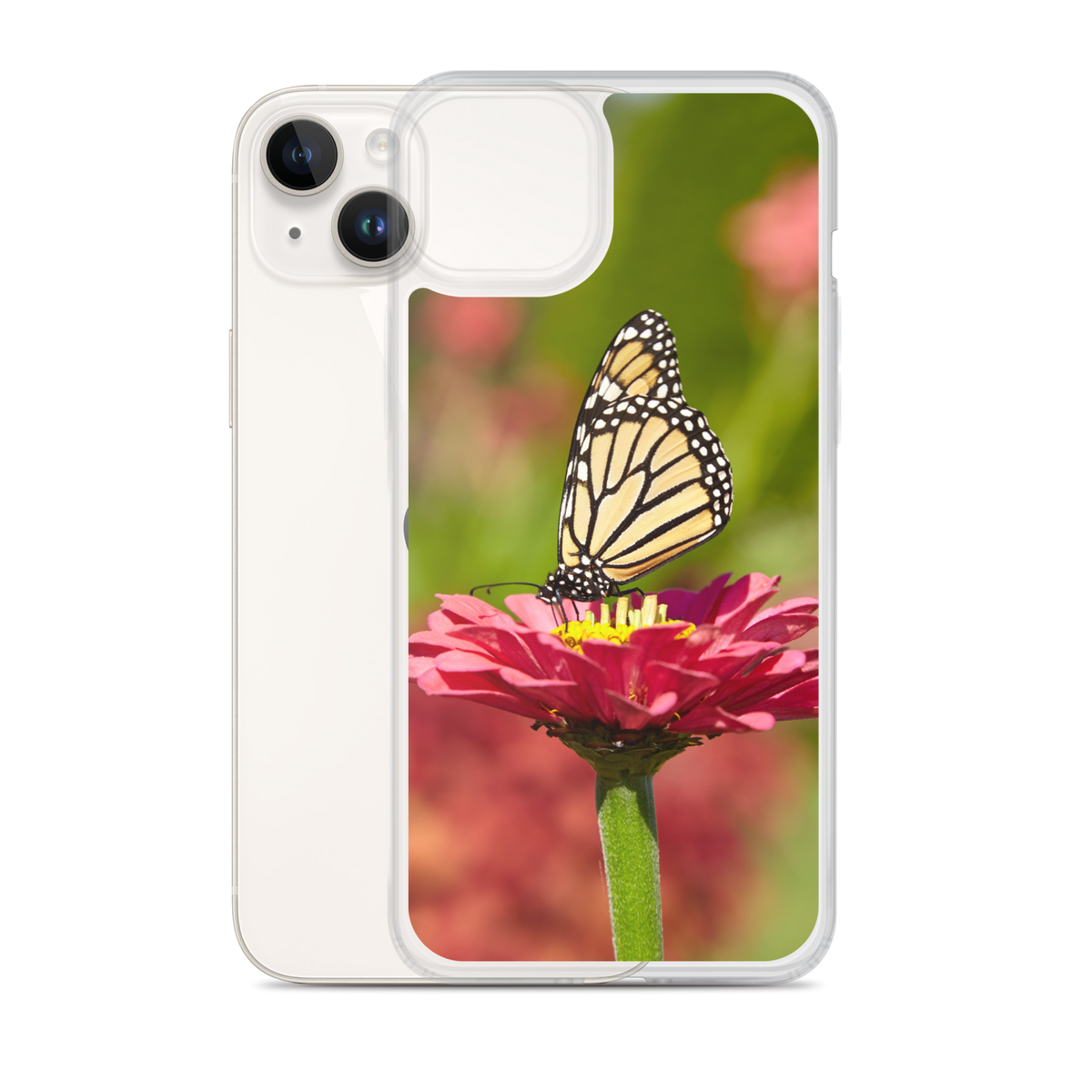 Monarch on Pink Zinnia Case for iPhone