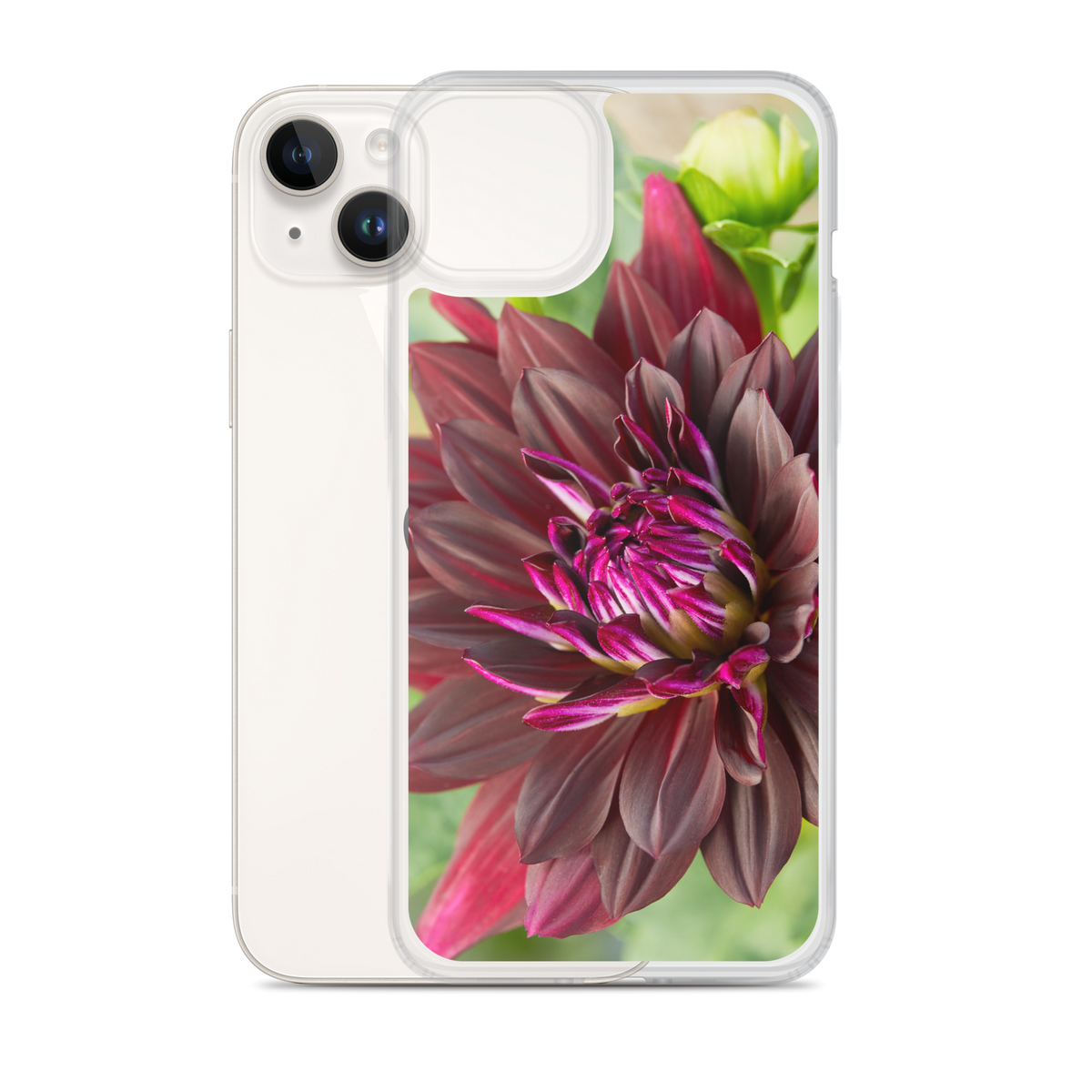 Black Dahlia iPhone Case