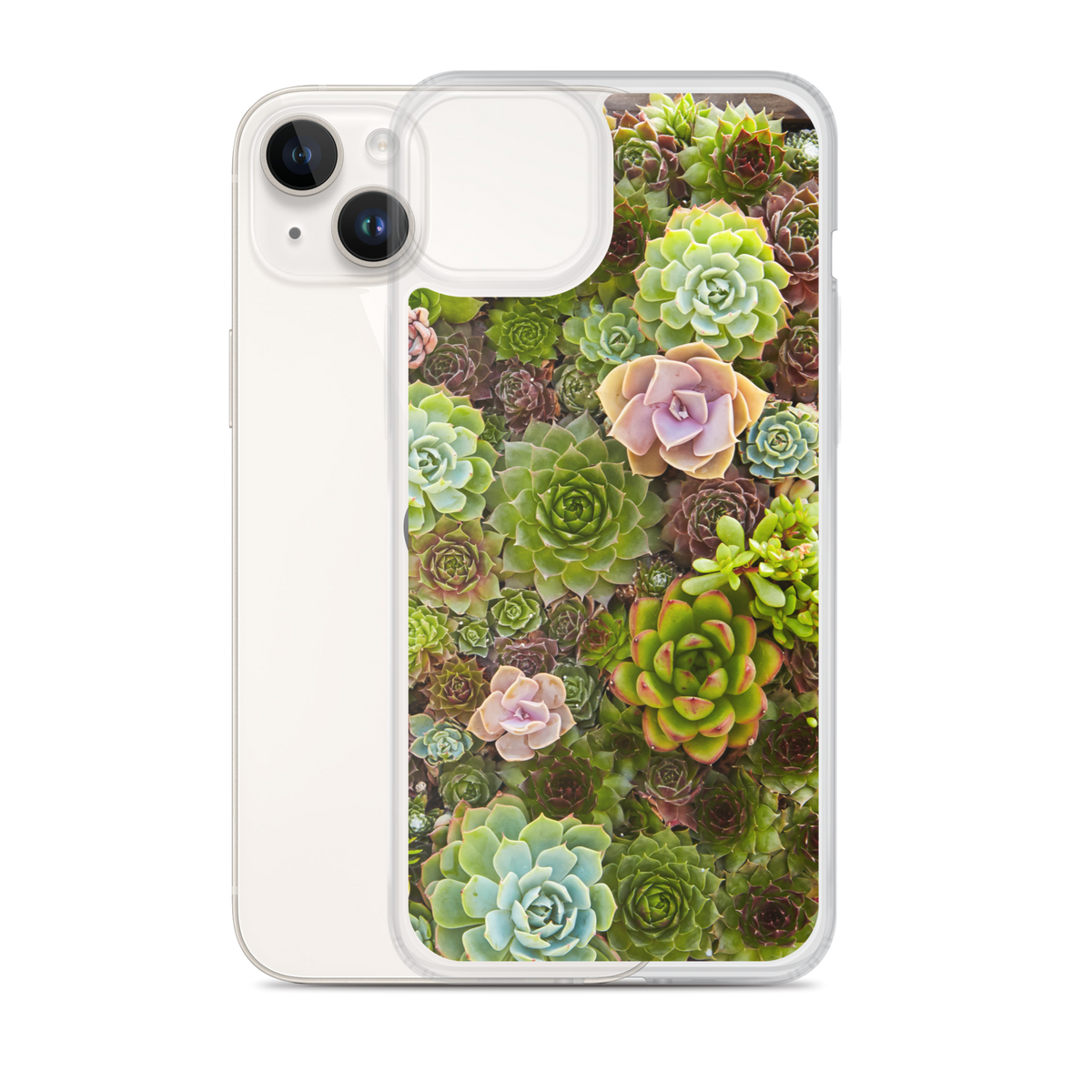 Succulent iPhone Case