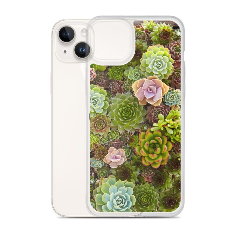 Succulent iPhone Case