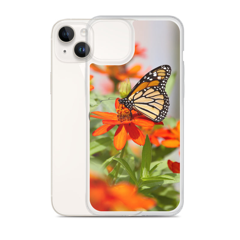 Monarch on Zinnia iPhone Case