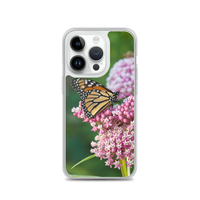 Monarch on Milkweed Phone Case for iPhone