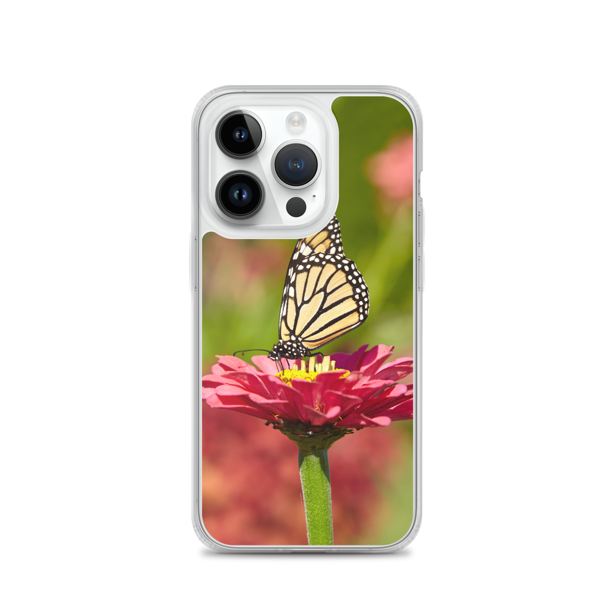 Monarch on Pink Zinnia Case for iPhone