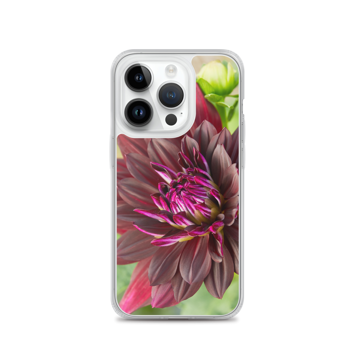 Black Dahlia iPhone Case