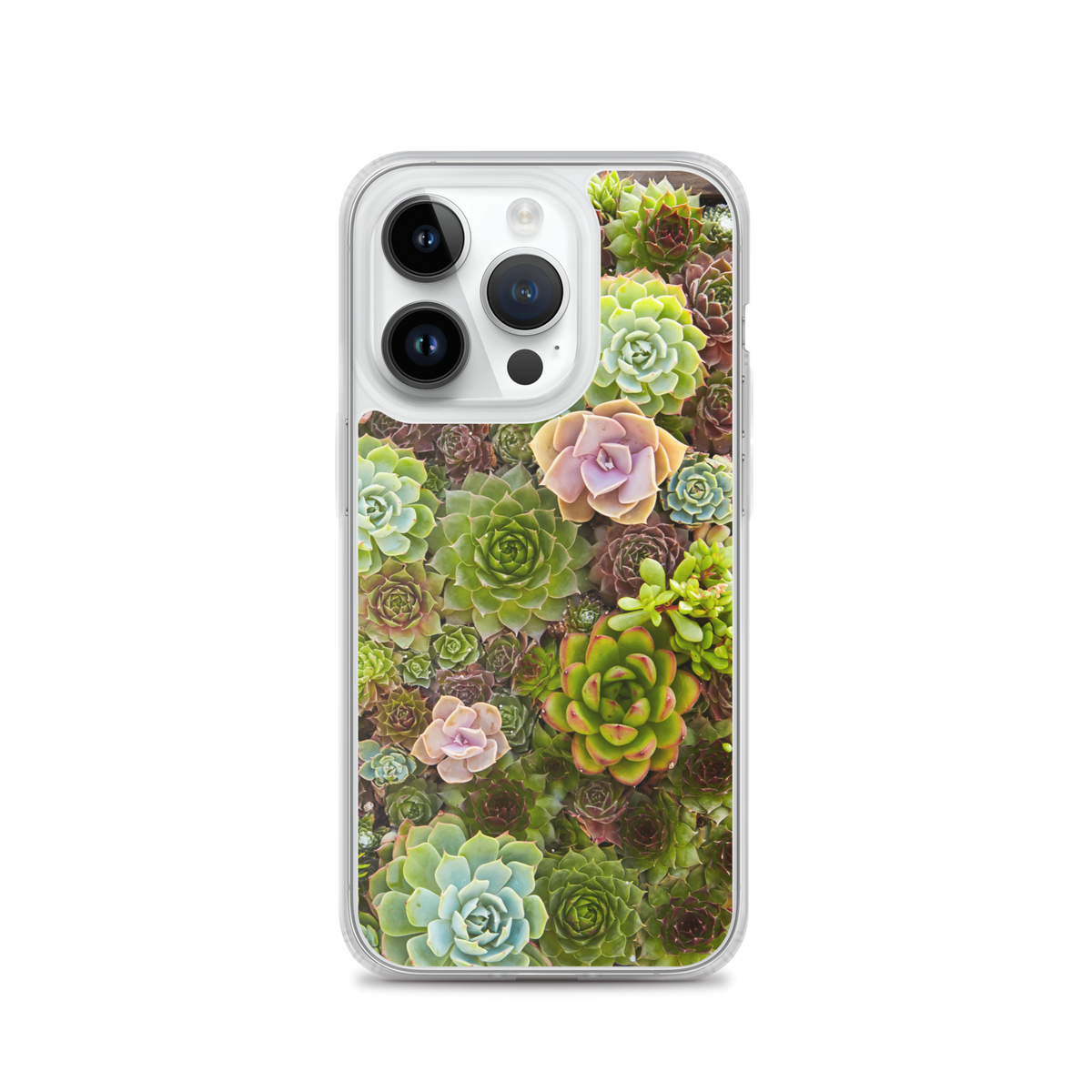 Succulent iPhone Case