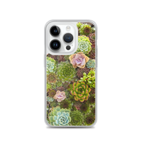 Succulent iPhone Case