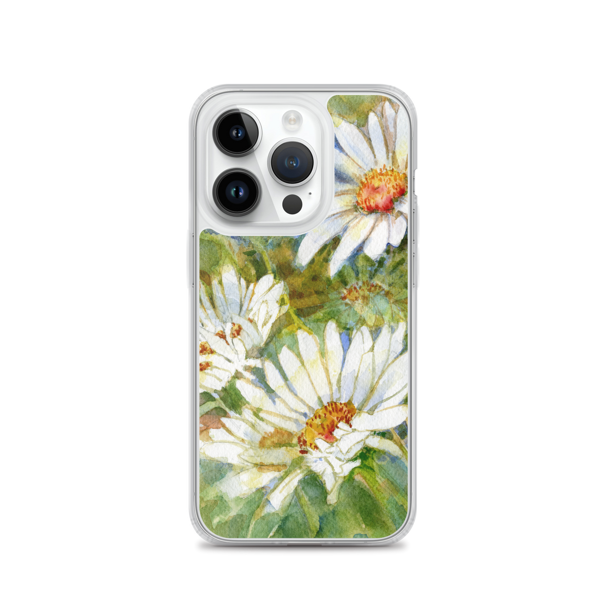 Shasta Daisy iPhone Case