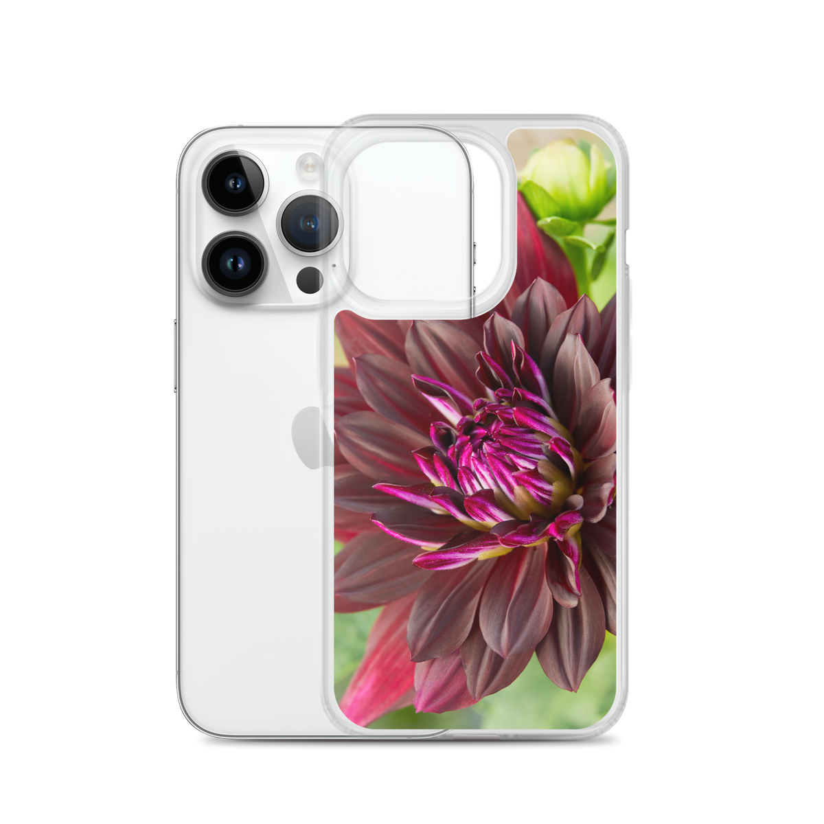 Black Dahlia iPhone Case