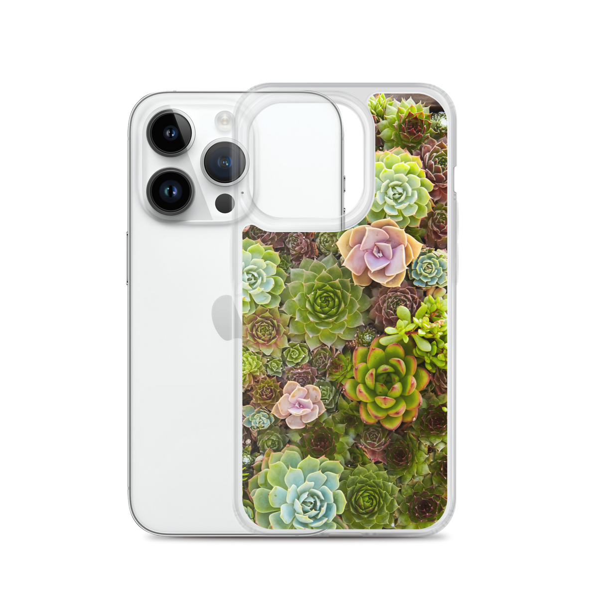 Succulent iPhone Case