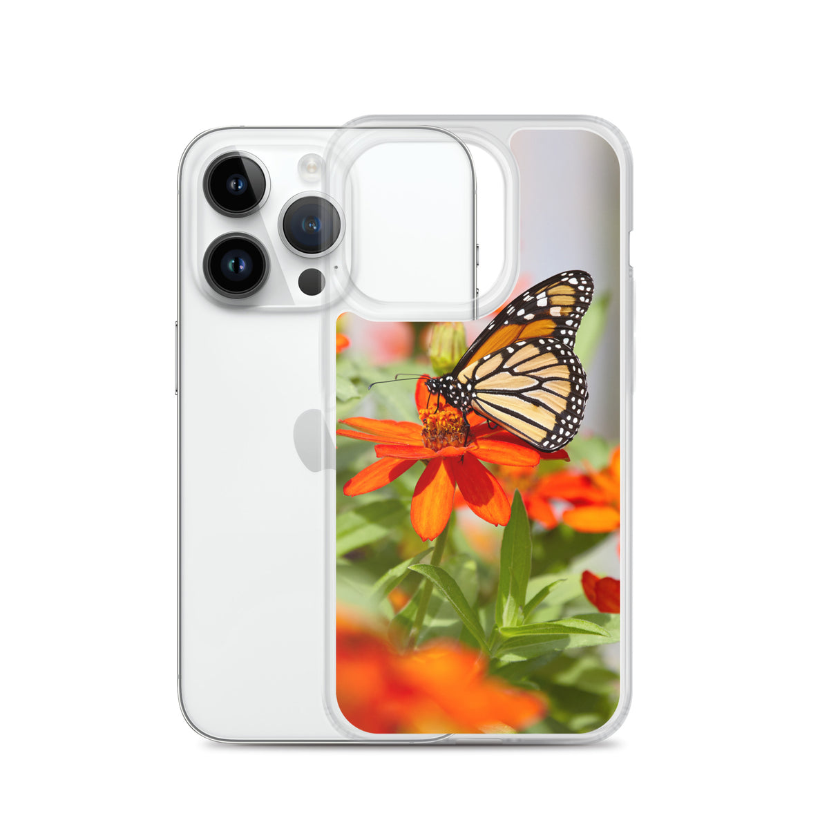 Monarch on Zinnia iPhone Case