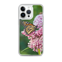 Monarch on Milkweed Phone Case for iPhone