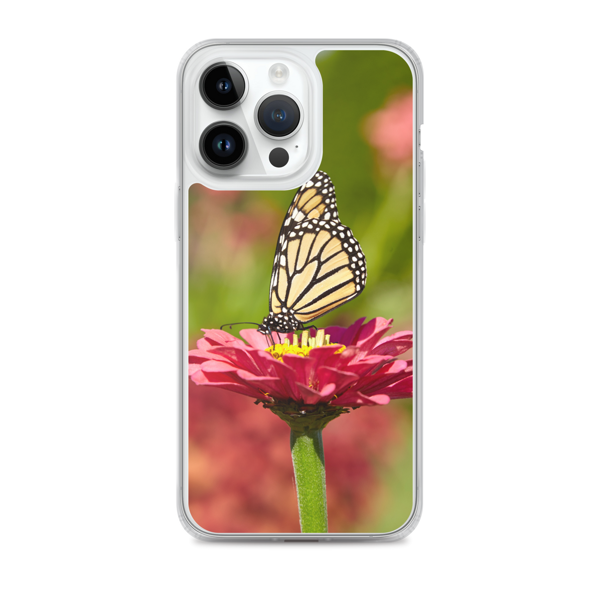 Monarch on Pink Zinnia Case for iPhone