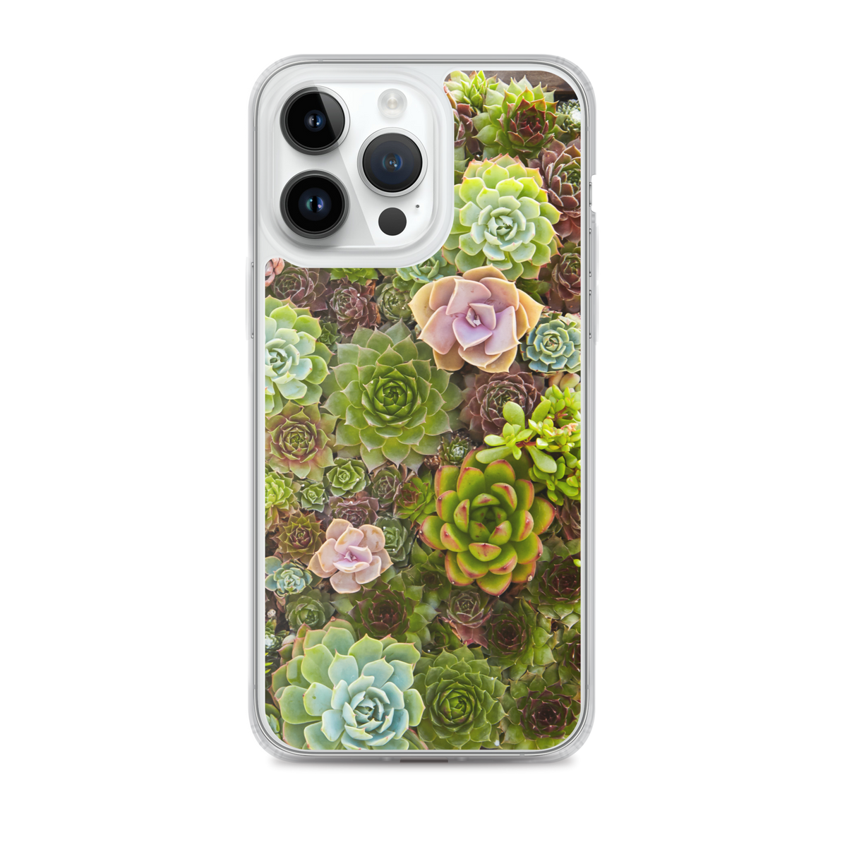 Succulent iPhone Case