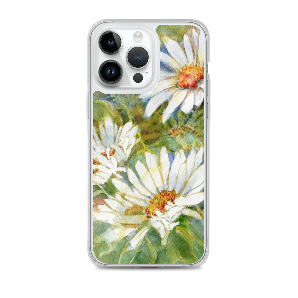 Shasta Daisy iPhone Case