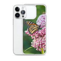 Monarch on Milkweed Phone Case for iPhone
