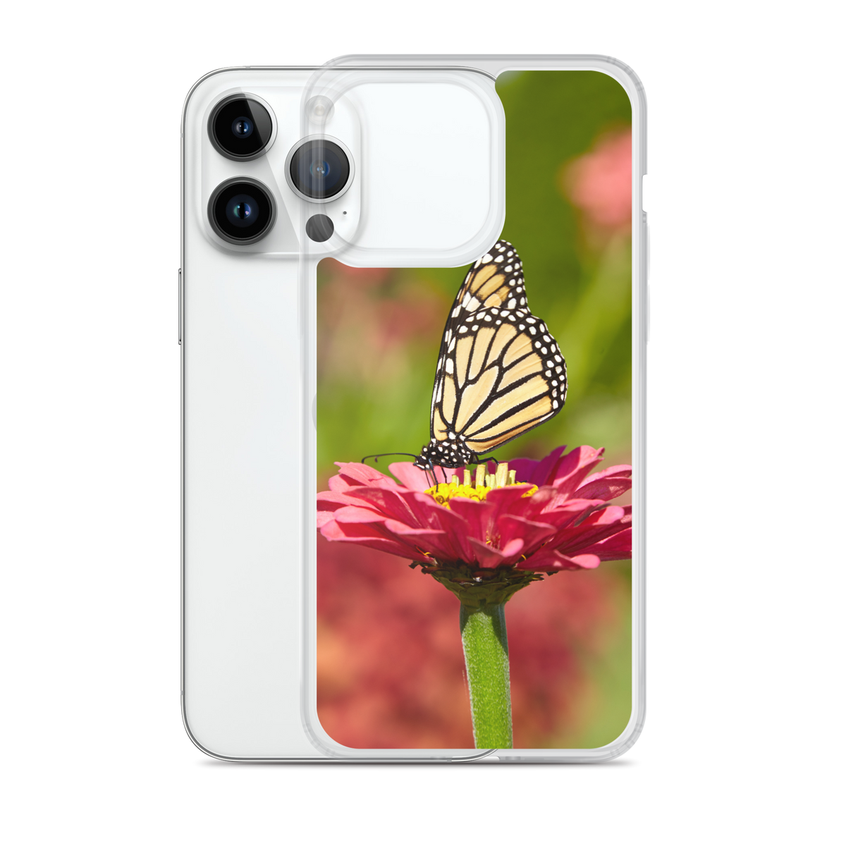 Monarch on Pink Zinnia Case for iPhone